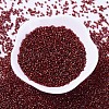 MIYUKI Delica Beads SEED-X0054-DB0603-2