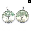 Natural Green Aventurine Pendants PW-WGDCF81-09-1