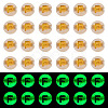 50G Luminous Transparent Acrylic Beads OACR-TAD0001-01F-1