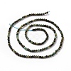 Natural African Turquoise(Jasper) Beads Strands G-P472-02-2