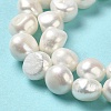 Natural Cultured Freshwater Pearl Beads Strands PEAR-E017-23-4