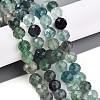 Natural Fluorite Beads Strands G-S345-10mm-31-2