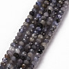 Natural Tanzanite Beads Strands G-S362-101-1