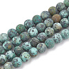 Natural African Turquoise(Jasper) Beads Strands G-T106-205-1