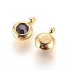 304 Stainless Steel Rhinestone Charms STAS-P237-10G-05-2