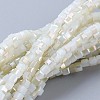 Electroplate Glass Beads Strands EGLA-F121-HR-B01-1