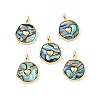 Natural Abalone Shell/Paua Shell Pendants KK-C004-11G-02-3