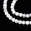Natural Trochid Shell/Trochus Shell Beads Strands SSHEL-S266-023A-01-3