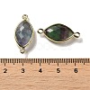 Natural Fluorite Faceted Connector Charms G-K347-03G-15-3