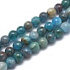 Natural Apatite Beads Strands G-I254-08A-1