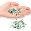 Natural Amazonite Chip Beads G-FS0001-16-5