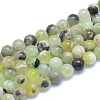 Natural Jade Beads Strands G-L552H-13C-1