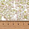 Baking Painted Glass Seed Beads SEED-C004-03B-4