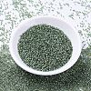 MIYUKI Delica Beads X-SEED-J020-DB2165-2