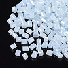 6/0 Two Cut Glass Seed Beads SEED-S033-08B-02-2