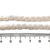 Electroplate Glass Beads Strands EGLA-D031-01J-4