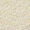 11/0 FGB Grade A Ceylon Glass Seed Beads X-SEED-N001-B-0482-2