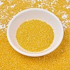 MIYUKI Delica Beads SEED-JP0008-DB1562-3