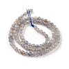 Natural Labradorite Beads Strands G-O176-04A-2