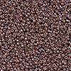 MIYUKI Round Rocailles Beads X-SEED-G007-RR0327-3