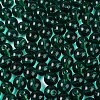 FGB Transparent Glass Seed Beads SEED-N013-01C-14-4