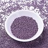 MIYUKI Delica Beads SEED-MY11-DB1173-2