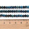Natural Chrysocolla Beads Strands G-C289-B02-4mm-5