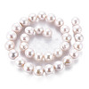Natural Keshi Pearl Beads Strands PEAR-S020-L02-3