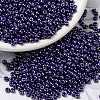 MIYUKI Round Rocailles Beads SEED-G008-RR0434-1