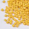 8/0 Two Cut Glass Seed Beads SEED-S033-06A-05-2