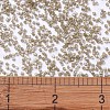 MIYUKI Delica Beads SEED-X0054-DB1862-4