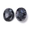 Natural Larvikite Cabochons G-T062-19-2