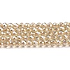 Transparent Electroplate Glass Beads Strands GLAA-H021-01B-PL02-2