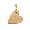 304 Stainless Steel Charms STAS-L291-01G-C-2