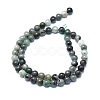 Natural Emerald Beads Strands G-F715-104A-2