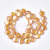 Freshwater Shell Beads Strands LS-SHEL-S274-52D-2