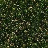 Spray Painted Glass Seed Beads SEED-F005-07A-01-3