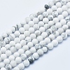 Natural Howlite Beads Strands G-P353-01-4mm-1