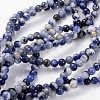 Natural Sodalite Beads Strands X-GSR4mmC013-1