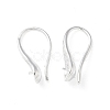 Brass Earring Hooks KK-A236-16S-1