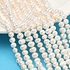 Natural Cultured Freshwater Pearl Beads Strands PEAR-L034-04-1