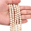 Natural Fossil Beads Strands LS-G-E110-6mm-2-3