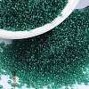 MIYUKI Round Rocailles Beads SEED-X0056-RR0147-1