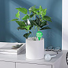 Plant Watering Globes AJEW-PH0017-67-7