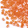 FGB Grade A Glass Seed Beads SEED-S022-03C-2