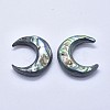 Natural Abalone Shell/Paua Shell Cabochons SSHEL-P015-80A-20mm-2