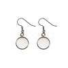 Stainless Steel Earring Hooks STAS-TA0004-02A-3