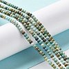 Natural HuBei Turquoise Beads Strands G-M411-A01-02-4