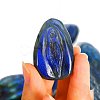 Carved Natural Labradorite Sculpture Display Decorations PW-WGBD60A-04-1
