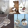 Round Handmade Blown Glass Globe Ball Bottles BLOW-PH0001-08-6